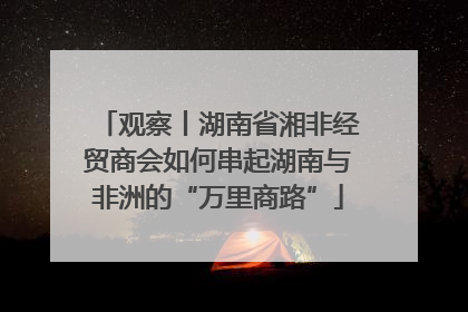 观察丨湖南省湘非经贸商会如何串起湖南与非洲的“万里商路”