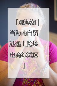 观海潮｜当海南自贸港遇上跨境电商综试区