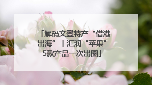 解码文登特产“借港出海”丨汇润“苹果”5款产品一次出圈