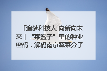 追梦科技人 向新向未来｜“菜篮子”里的种业密码：解码南京蔬菜分子育种的创新之路