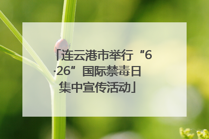 连云港市举行“6·26”国际禁毒日集中宣传活动