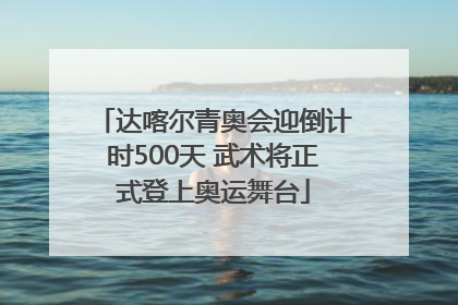 达喀尔青奥会迎倒计时500天 武术将正式登上奥运舞台