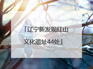 辽宁新发现红山文化遗址44处