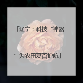 辽宁：科技“神器”为农田夏管护航