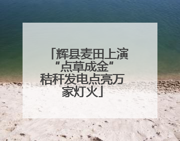 辉县麦田上演“点草成金” 秸秆发电点亮万家灯火
