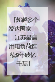 超越多个发达国家——江苏最高用电负荷连续9年破亿千瓦