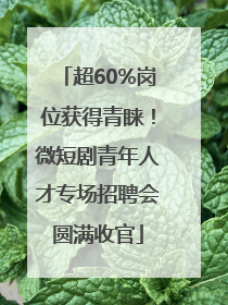 超60%岗位获得青睐！微短剧青年人才专场招聘会圆满收官