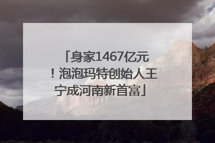 身家1467亿元！泡泡玛特创始人王宁成河南新首富