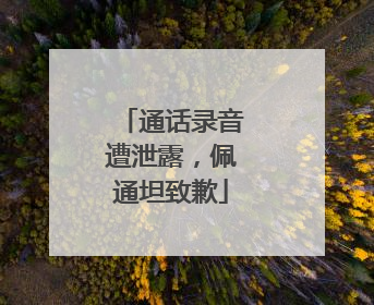 通话录音遭泄露，佩通坦致歉