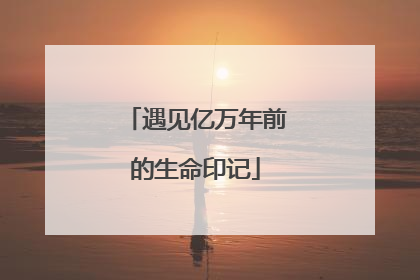 遇见亿万年前的生命印记
