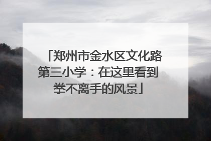 郑州市金水区文化路第三小学：在这里看到拳不离手的风景