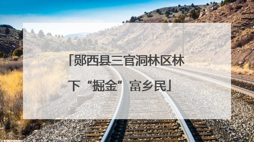 郧西县三官洞林区林下“掘金”富乡民