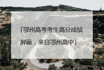 鄂州高考考生高分成绩屏蔽，来自鄂州高中