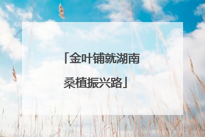 金叶铺就湖南桑植振兴路