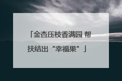 金杏压枝香满园 帮扶结出“幸福果”