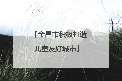 金昌市积极打造儿童友好城市