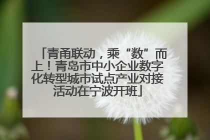 青甬联动，乘“数”而上！青岛市中小企业数字化转型城市试点产业对接活动在宁波开班