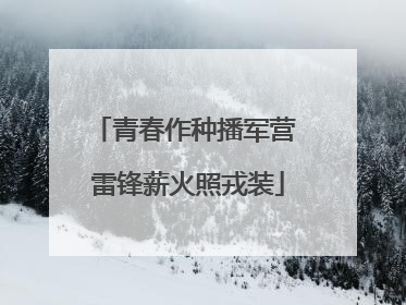 青春作种播军营 雷锋薪火照戎装