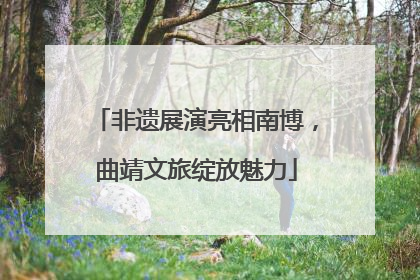 非遗展演亮相南博，曲靖文旅绽放魅力