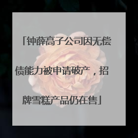 钟薛高子公司因无偿债能力被申请破产，招牌雪糕产品仍在售