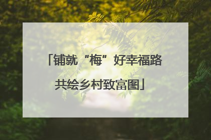 铺就“梅”好幸福路 共绘乡村致富图