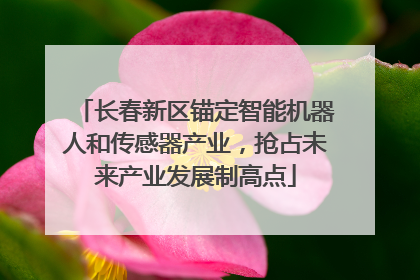 长春新区锚定智能机器人和传感器产业，抢占未来产业发展制高点