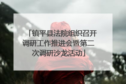 镇平县法院组织召开调研工作推进会暨第二次调研沙龙活动
