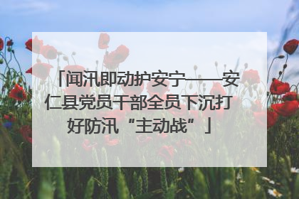 闻汛即动护安宁——安仁县党员干部全员下沉打好防汛“主动战”
