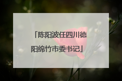 陈阳波任四川德阳绵竹市委书记