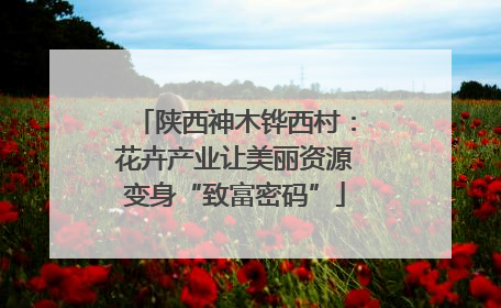 陕西神木铧西村：花卉产业让美丽资源变身“致富密码”