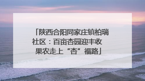 陕西合阳同家庄镇柏瑞社区：百亩杏园迎丰收 果农走上“杏”福路