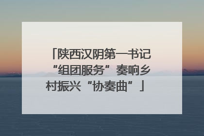 陕西汉阴第一书记“组团服务”奏响乡村振兴“协奏曲”