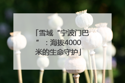 雪域“宁波门巴”：海拔4000米的生命守护