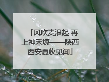 风吹麦浪起 再上神禾塬——陕西西安夏收见闻