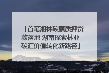 首笔湘林碳票质押贷款落地 湖南探索林业碳汇价值转化新路径