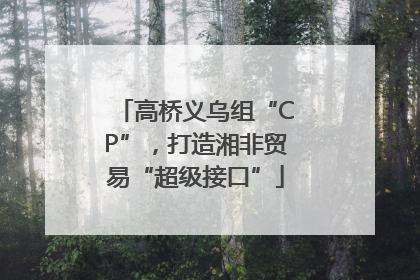 高桥义乌组“CP”，打造湘非贸易“超级接口”
