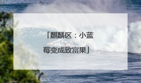 麒麟区：小蓝莓变成致富果