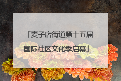 麦子店街道第十五届国际社区文化季启幕