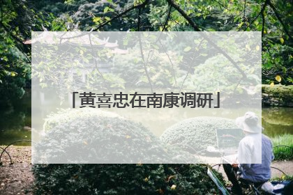黄喜忠在南康调研