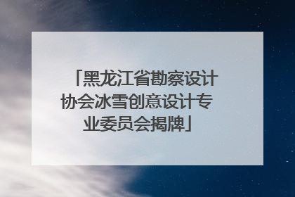 黑龙江省勘察设计协会冰雪创意设计专业委员会揭牌