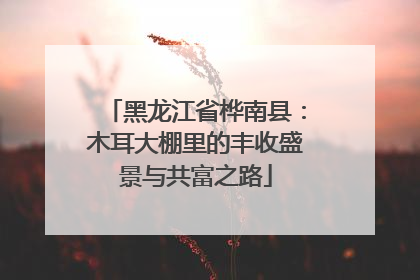 黑龙江省桦南县：木耳大棚里的丰收盛景与共富之路