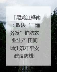 黑龙江桦南：政法“三箭齐发”护航农业生产 田间地头筑牢平安建设防线