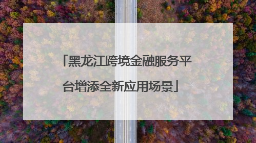 黑龙江跨境金融服务平台增添全新应用场景