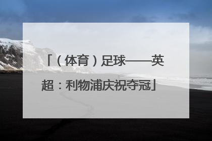 （体育）足球——英超：利物浦庆祝夺冠