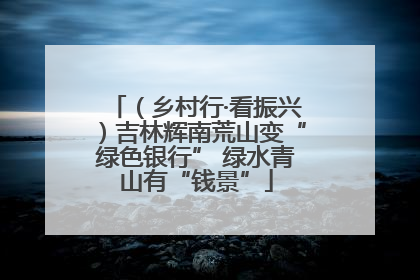 （乡村行·看振兴）吉林辉南荒山变“绿色银行” 绿水青山有“钱景”