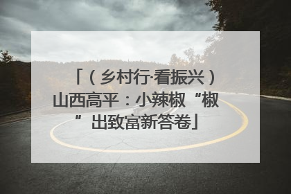 （乡村行·看振兴）山西高平：小辣椒“椒”出致富新答卷
