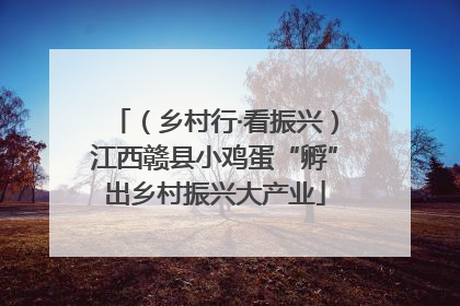 （乡村行·看振兴）江西赣县小鸡蛋“孵”出乡村振兴大产业