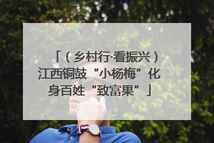 （乡村行·看振兴）江西铜鼓“小杨梅”化身百姓“致富果”