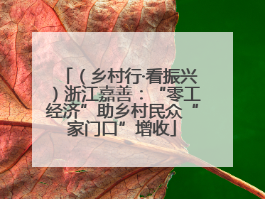 （乡村行·看振兴）浙江嘉善：“零工经济”助乡村民众“家门口”增收