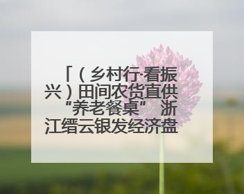 （乡村行·看振兴）田间农货直供“养老餐桌” 浙江缙云银发经济盘活山区资源